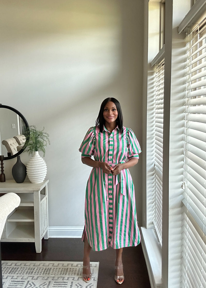 The Teacher's Pet Dress L